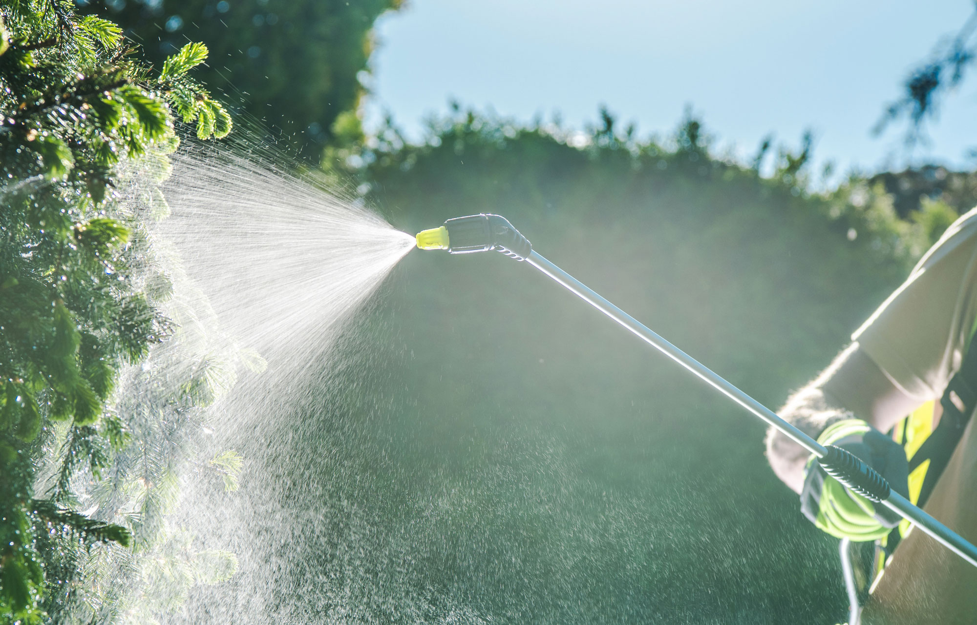 Commercial Landscaping Services in Florida