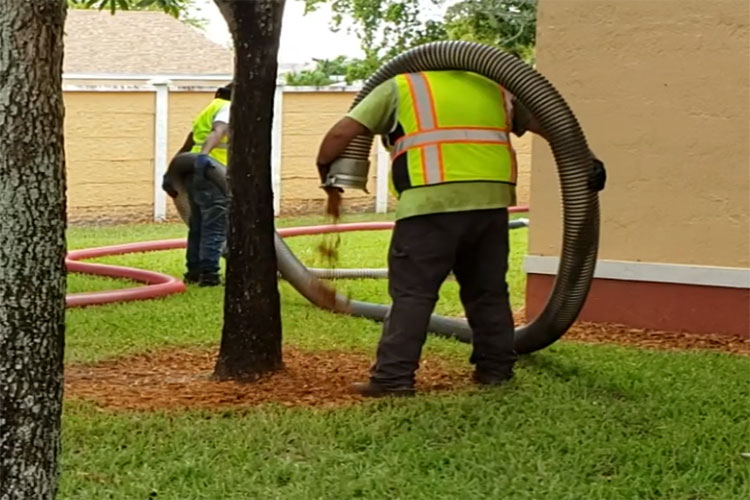 Commercial Landscaping Services in Florida