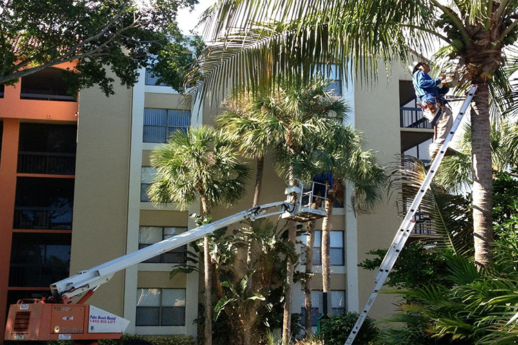 Commercial Landscaping Services in Florida