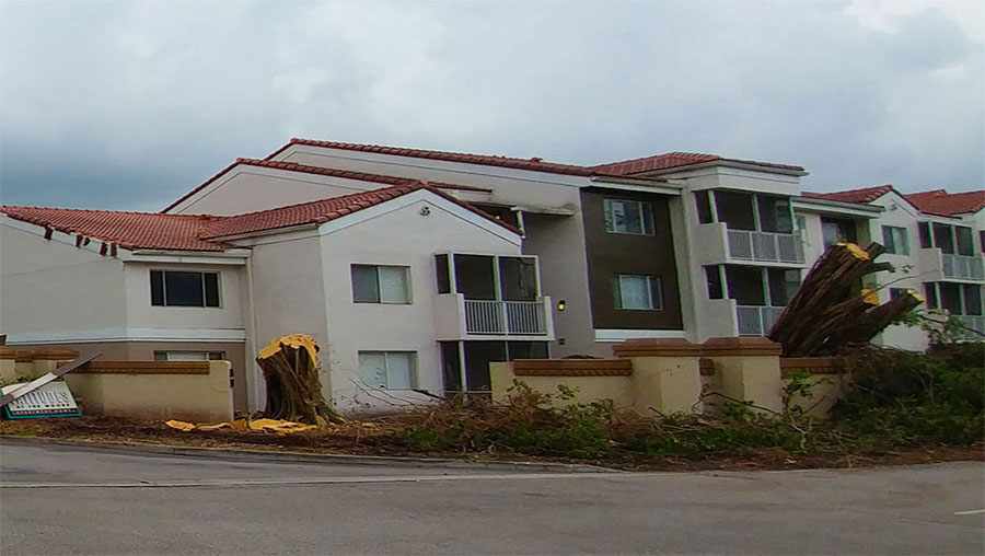 Commercial Landscaping Services in Florida