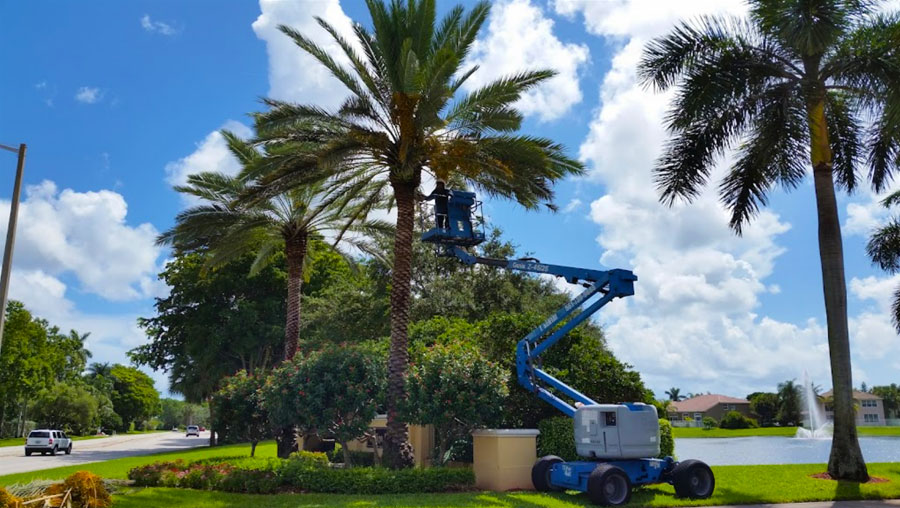 Commercial Landscaping Services in Florida