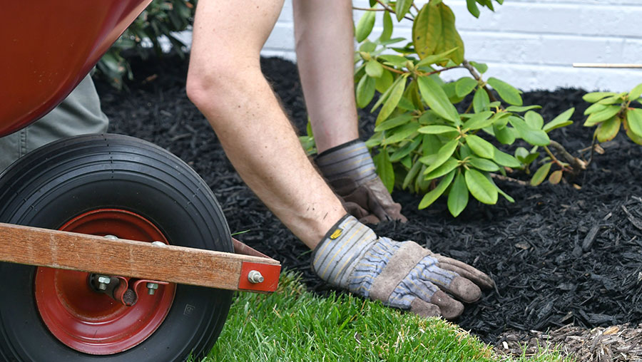 Commercial Landscaping Services in Florida